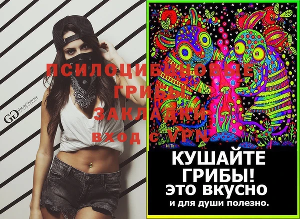 дурь Богородицк