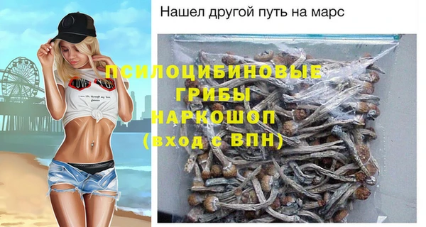 дурь Богородицк