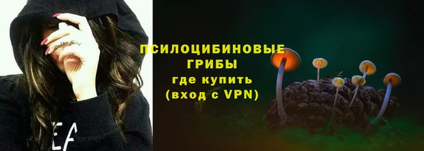 спайс Богородск