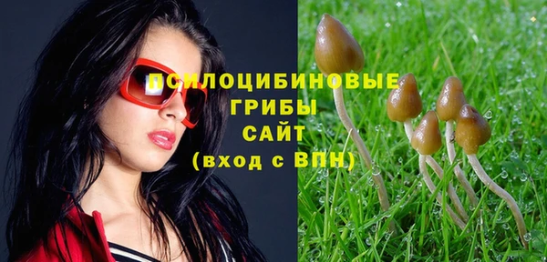 гашик Баксан