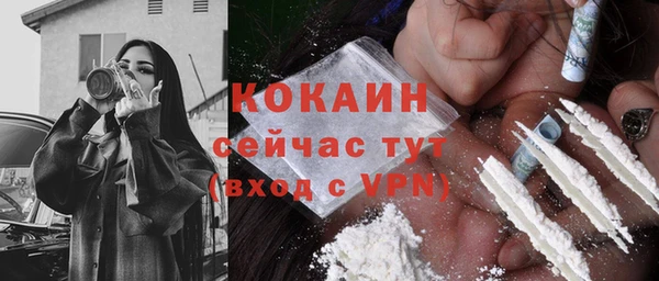 дурь Богородицк