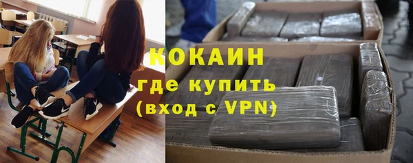 гашик Балахна
